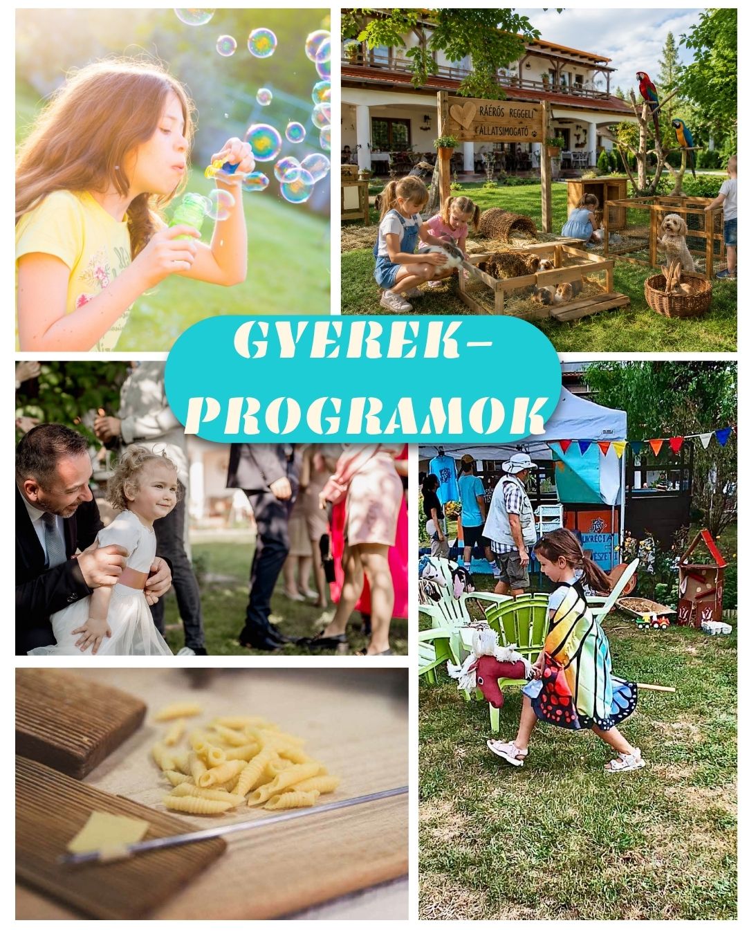 Négycsillagos tisza-tavi menedék