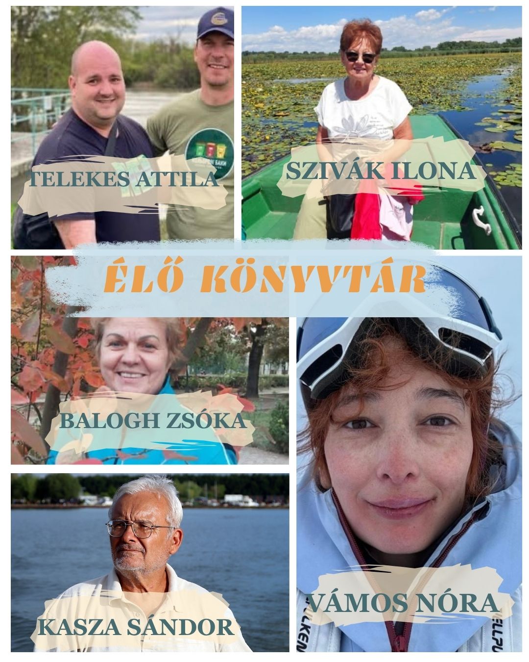 Négycsillagos tisza-tavi menedék